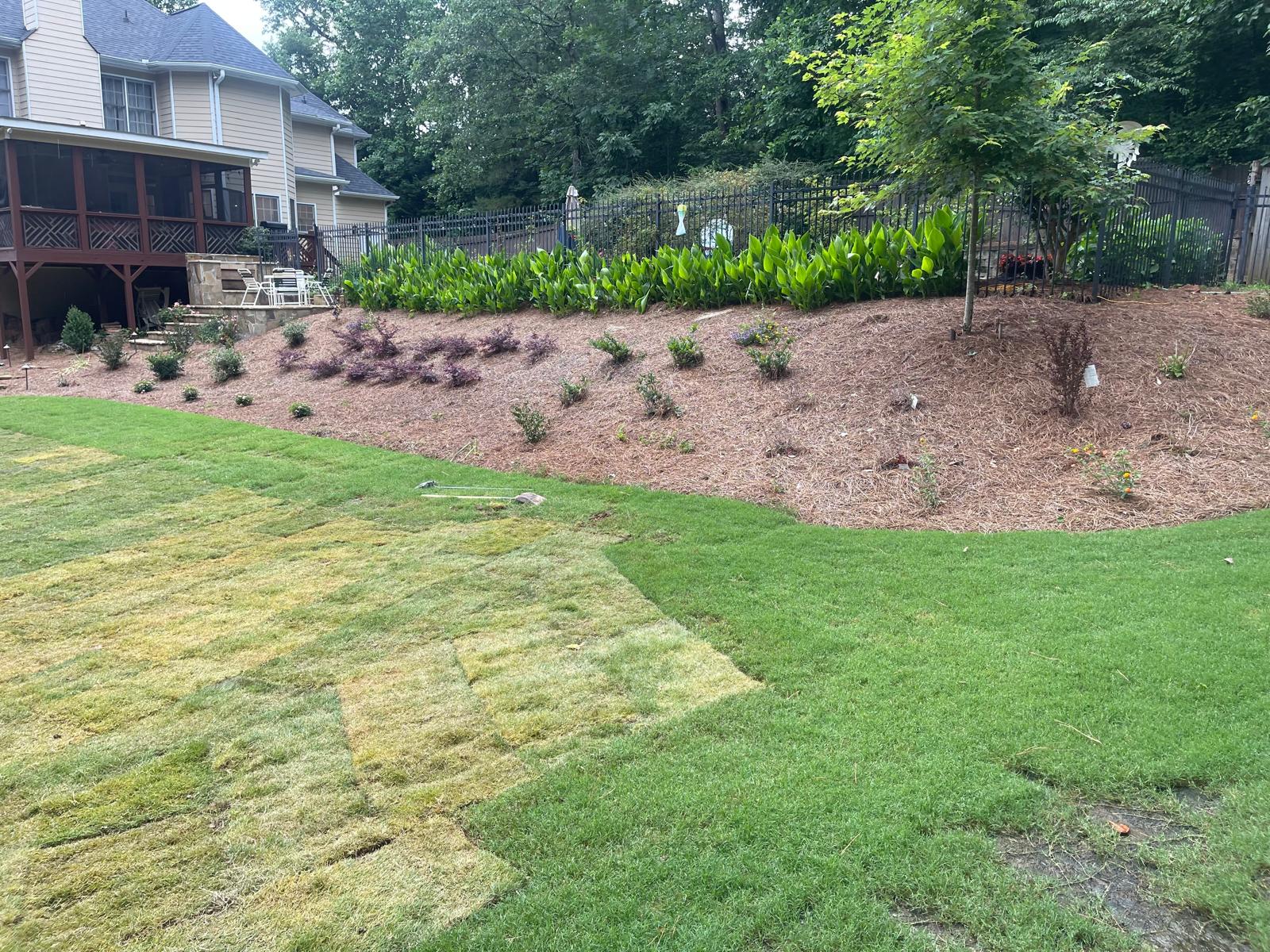 Large Backyard Landscape Redesign